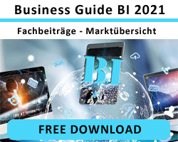 Business Guide 2021 - Business Intelligence Software Systeme 2021